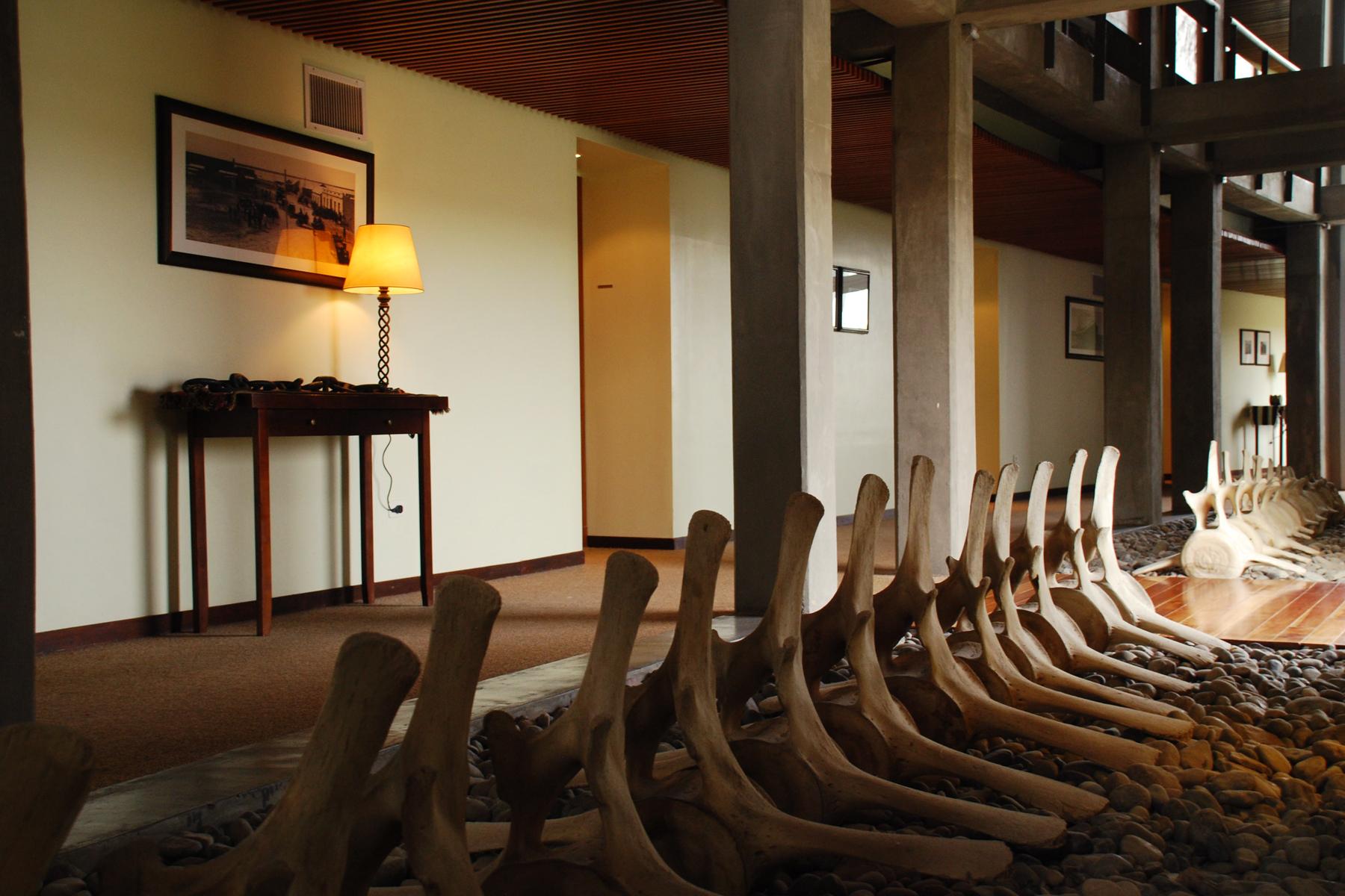 Hotel Territorio Puerto Madryn Zewnętrze zdjęcie