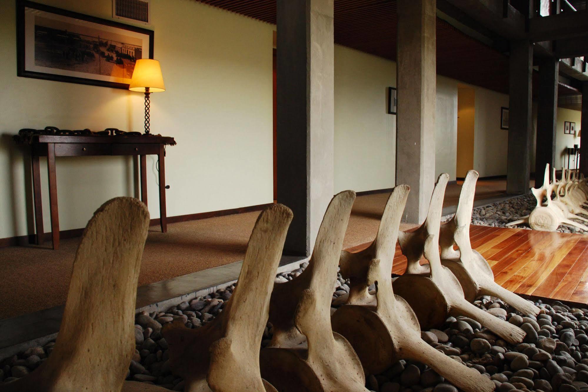 Hotel Territorio Puerto Madryn Zewnętrze zdjęcie